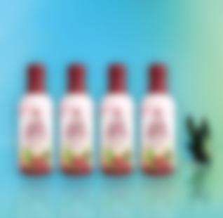 Квартет Нектар